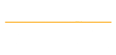 100 black men logo